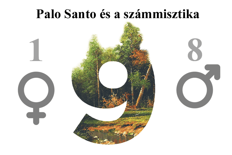 A Palo Santo és a teljesség energiája
