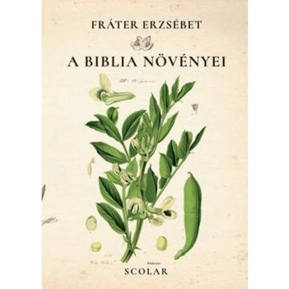 A Biblia növényeinek megismerése és jelképrendszerük pontosabb értelmezése.