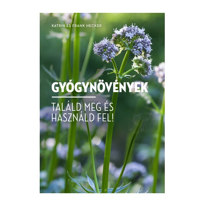 A 12 legfontontosabb és leggyakoribb gyógynövény bemutatása