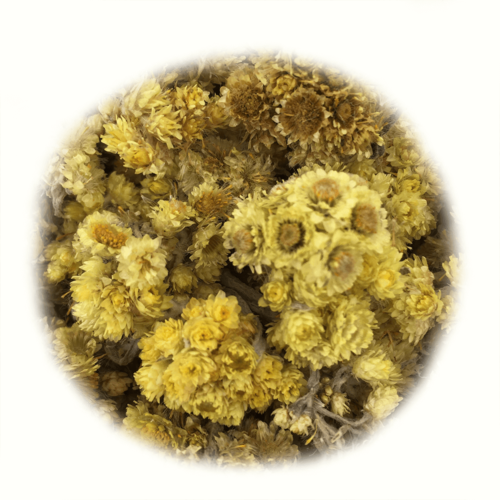 HOMOKI SZALMAGYOPÁR - Helichrysum arenarium - 20 g - FLORASENSE